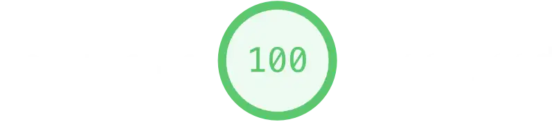 PageSpeed 100
